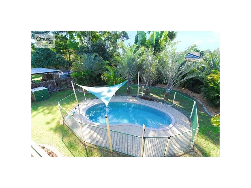 Camira QLD 4300
