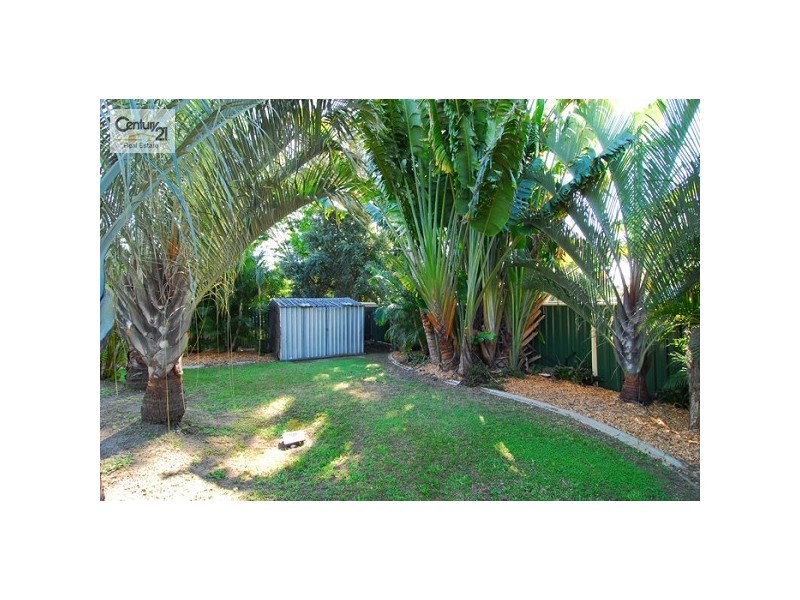 Camira QLD 4300
