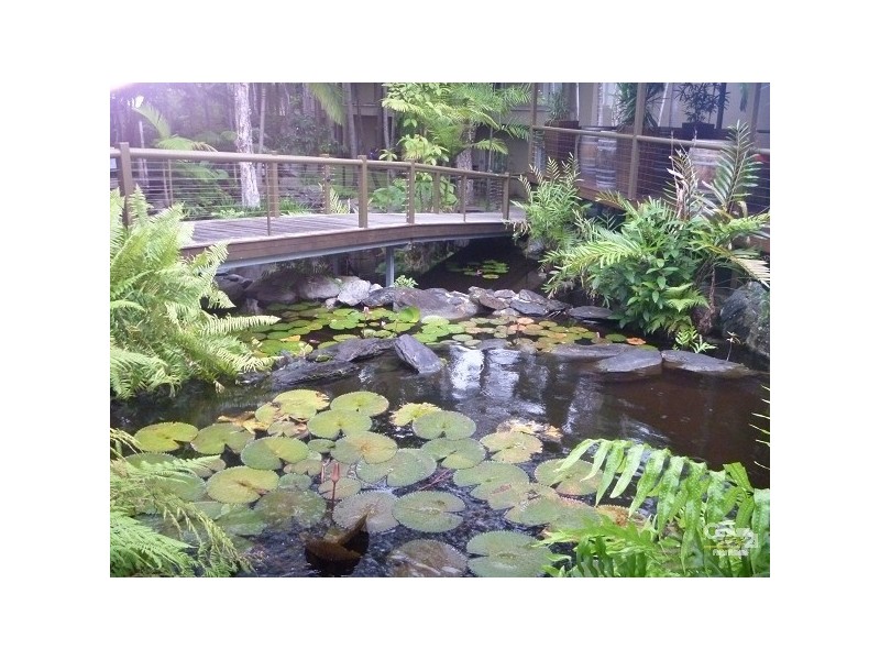 B316/316 Port Douglas Road, Port Douglas QLD 4877