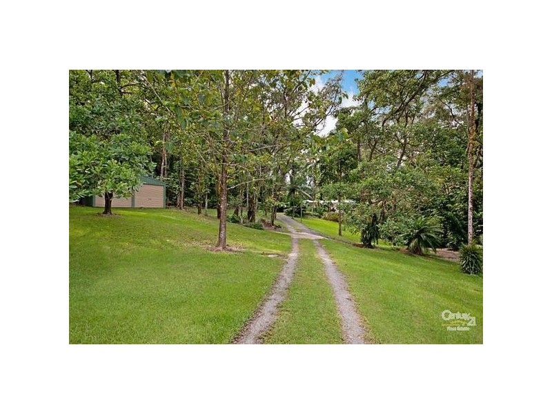 73 Whiteley Road, Miallo QLD 4873