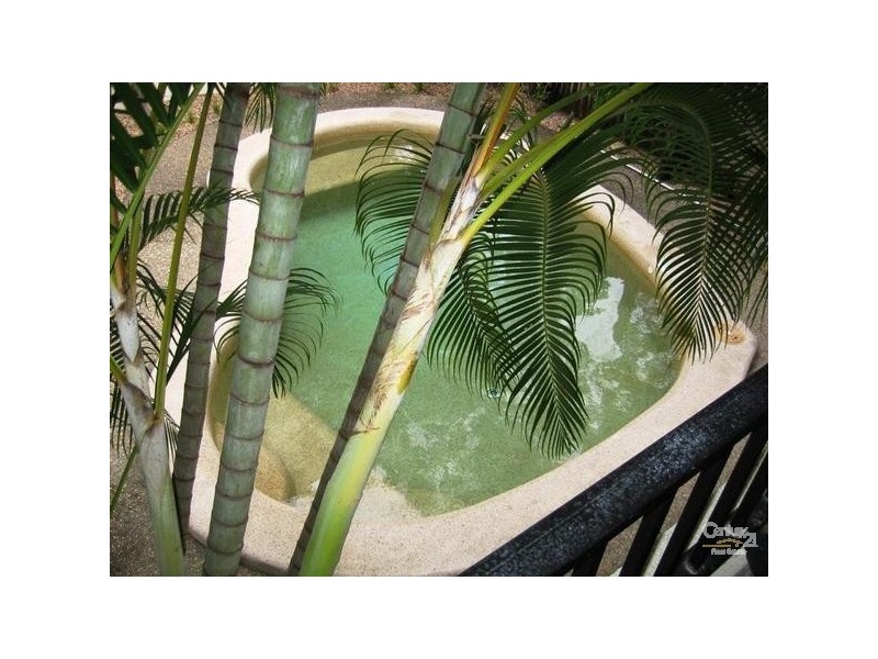 Port Douglas QLD 4877