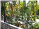 Port Douglas QLD 4877