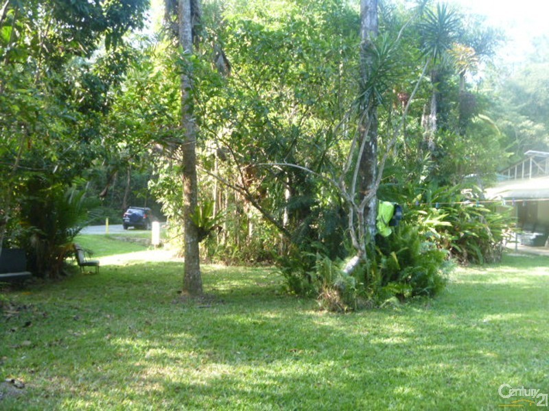 48 Fig Tree Road, Cow Bay QLD 4873