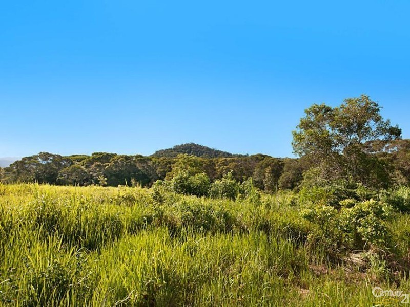 361 Pinnacle Road, Julatten QLD 4871