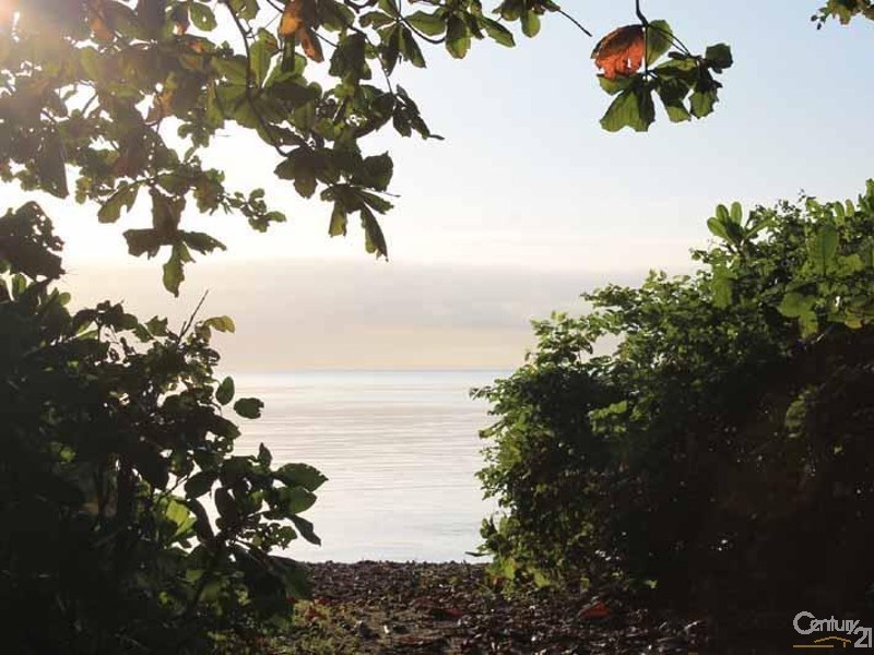 93 Bougainvilla Street, Cooya Beach QLD 4873