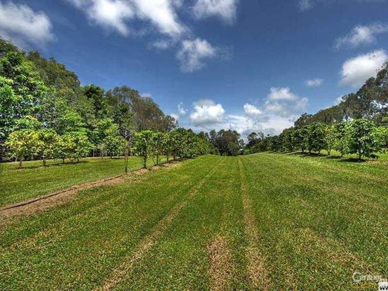 193  Highland Drive, Julatten QLD 4871