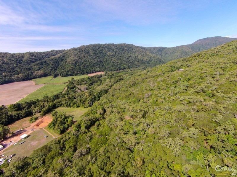 74 Spring Creek Road, Mowbray QLD 4877
