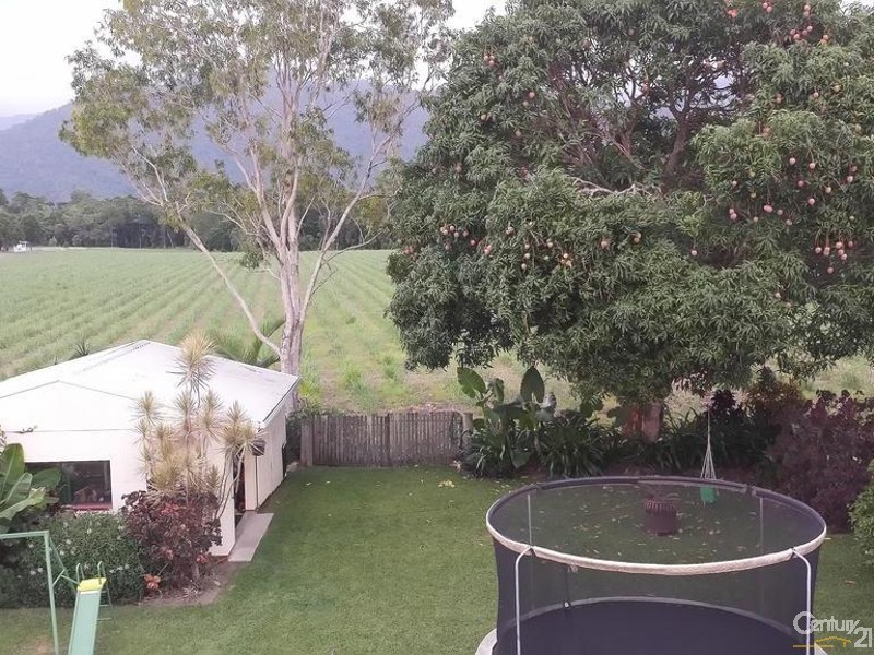 47 Middlemiss Street, Mossman QLD 4873