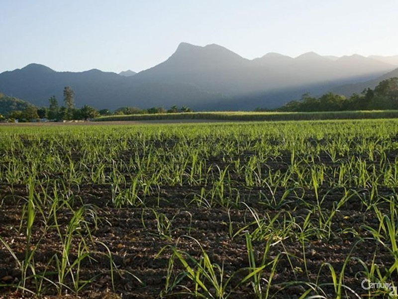 Lot 8 Captain Cook Highway, Port Douglas QLD 4877