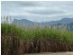 Lot 8 Captain Cook Highway, Port Douglas QLD 4877