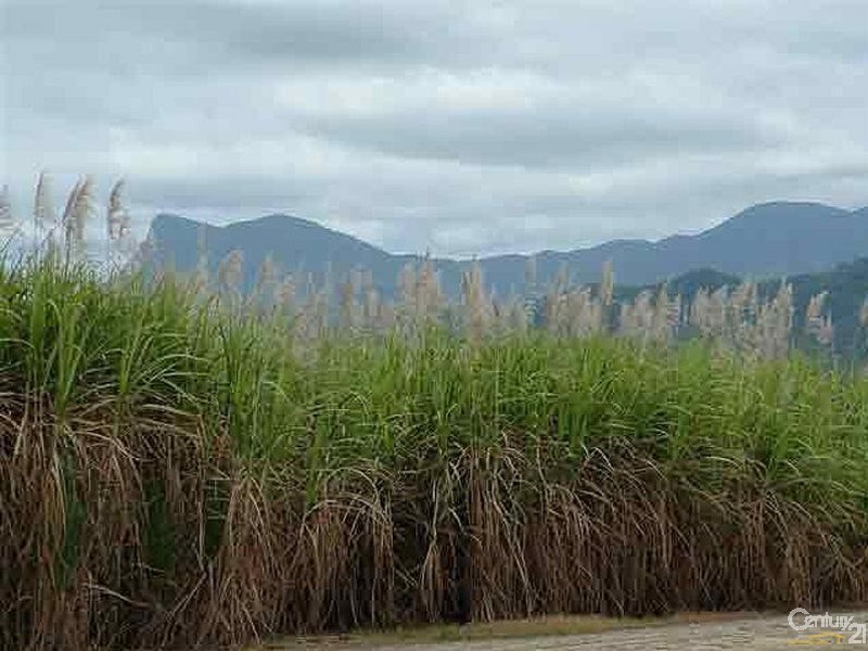 Lot 8 Captain Cook Highway, Port Douglas QLD 4877