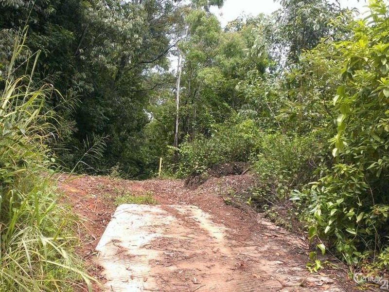 34 Murphy Street, Port Douglas QLD 4877