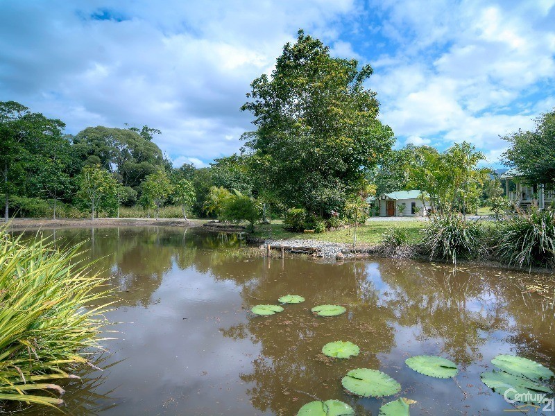 1744 Mossman-Mt Molloy Road, Julatten QLD 4871