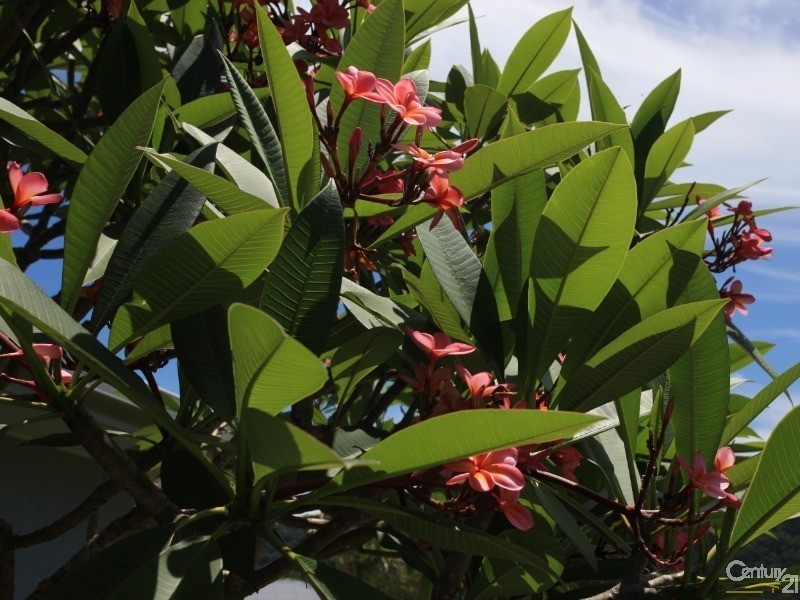 5 SYLVIA CLOSE, Wonga QLD 4873