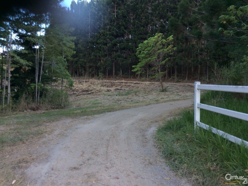 1759 Mossman-Mt Molloy Road, Julatten QLD 4871