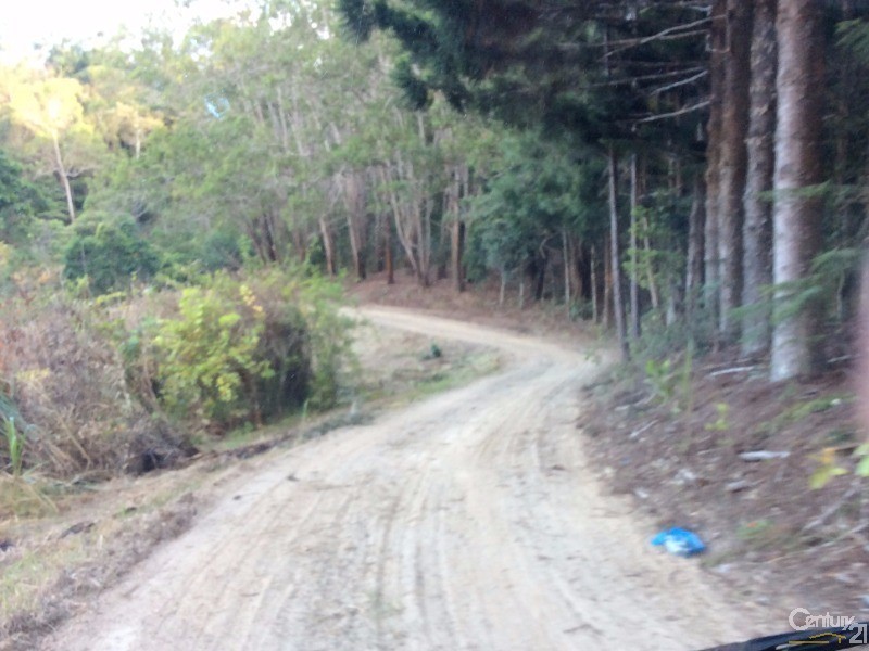 1759 Mossman-Mt Molloy Road, Julatten QLD 4871