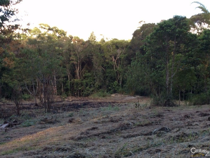 1759 Mossman-Mt Molloy Road, Julatten QLD 4871