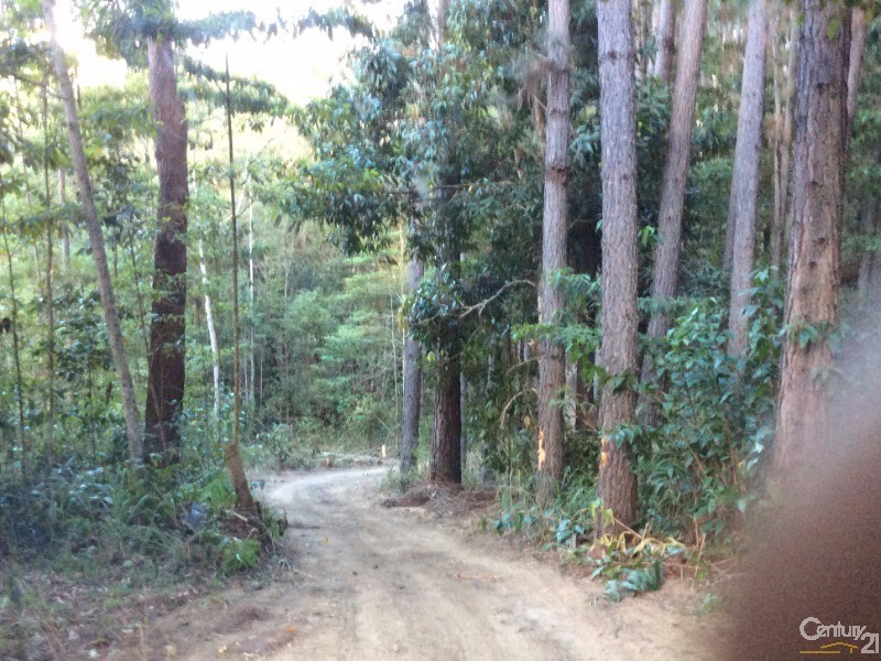 1759 Mossman-Mt Molloy Road, Julatten QLD 4871