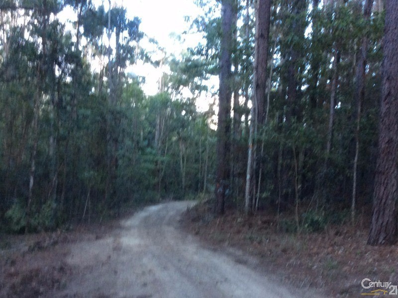 1759 Mossman-Mt Molloy Road, Julatten QLD 4871