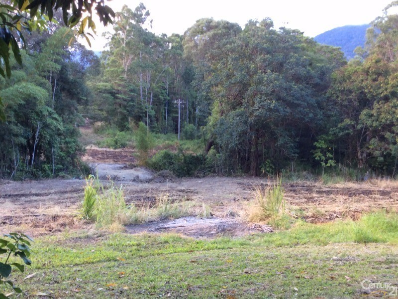 1759 Mossman-Mt Molloy Road, Julatten QLD 4871