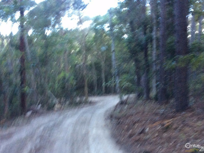 1759 Mossman-Mt Molloy Road, Julatten QLD 4871