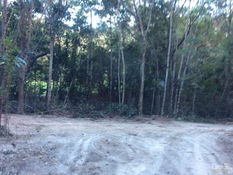 1759 Mossman-Mt Molloy Road, Julatten QLD 4871