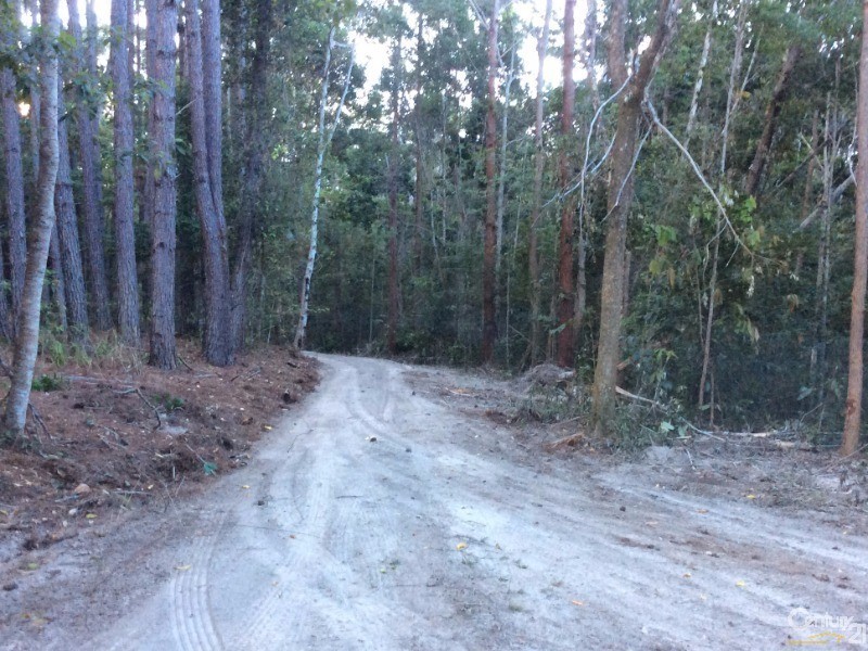 1759 Mossman-Mt Molloy Road, Julatten QLD 4871