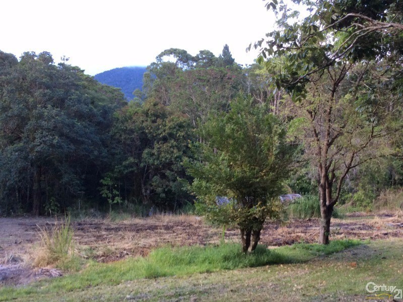 1759 Mossman-Mt Molloy Road, Julatten QLD 4871