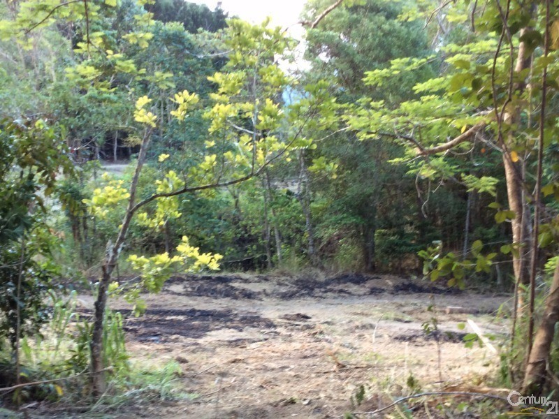 1759 Mossman-Mt Molloy Road, Julatten QLD 4871