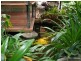 432 Shannonvale Road, Shannonvale QLD 4873