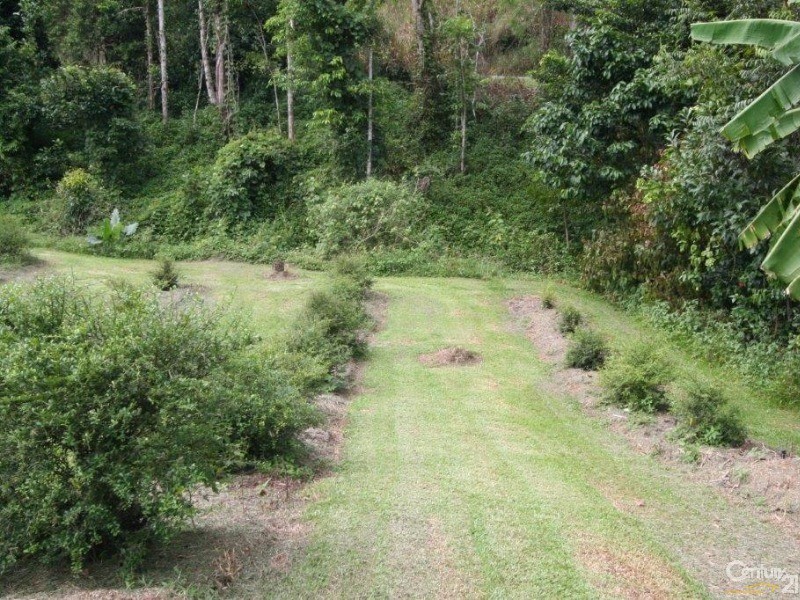 432 Shannonvale Road, Shannonvale QLD 4873