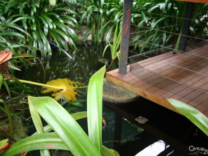 432 Shannonvale Road, Shannonvale QLD 4873