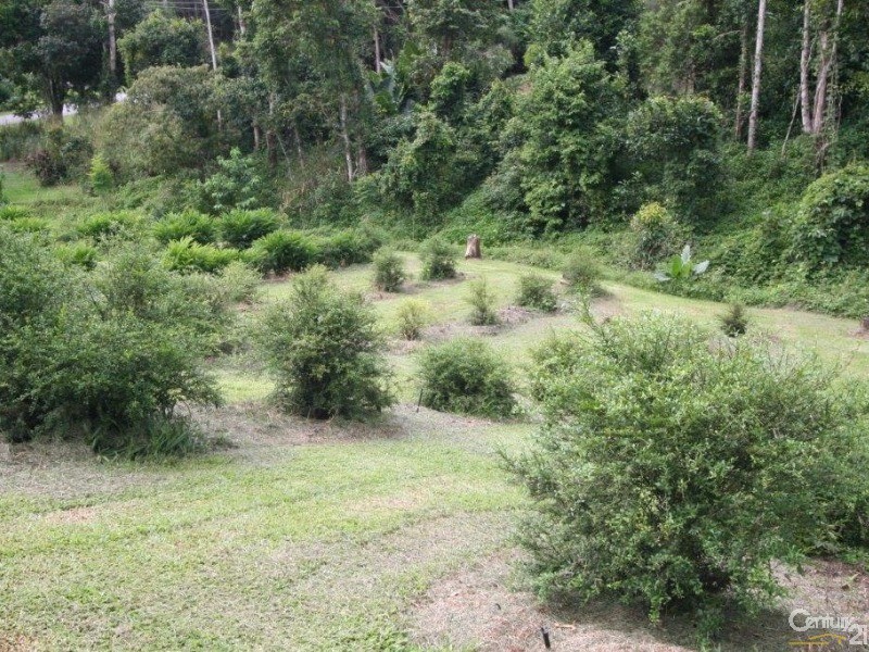 432 Shannonvale Road, Shannonvale QLD 4873