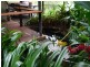 432 Shannonvale Road, Shannonvale QLD 4873