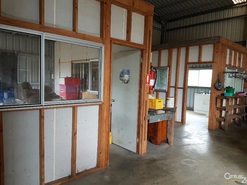 3 Allan Close, Mossman Gorge QLD 4873