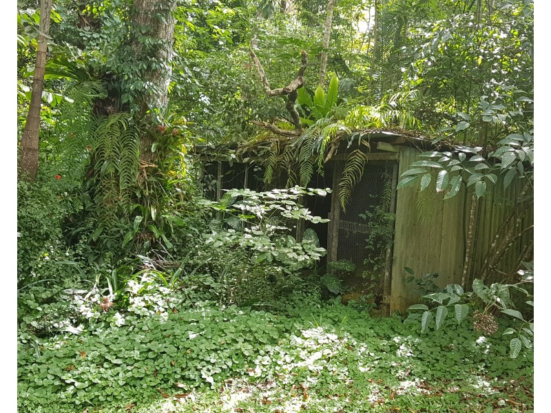 1644 Mossman Mount Molloy Road, Julatten QLD 4871