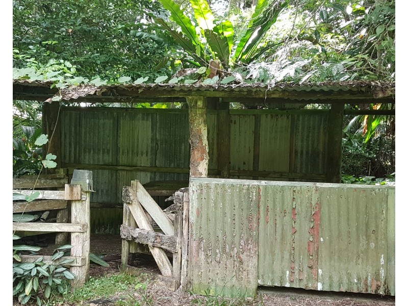 1644 Mossman Mount Molloy Road, Julatten QLD 4871