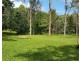 1644 Mossman Mount Molloy Road, Julatten QLD 4871
