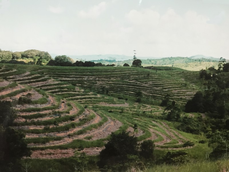 1412 Mount Molloy Road, Julatten QLD 4871