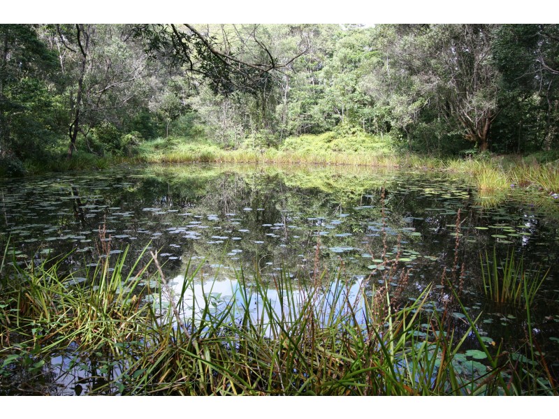 1412 Mount Molloy Road, Julatten QLD 4871