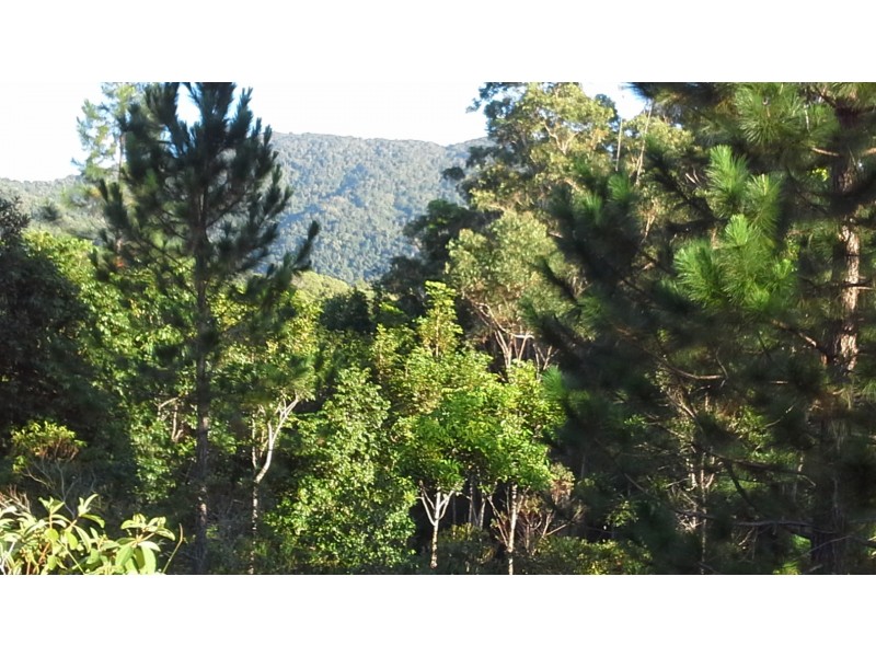 1412 Mount Molloy Road, Julatten QLD 4871