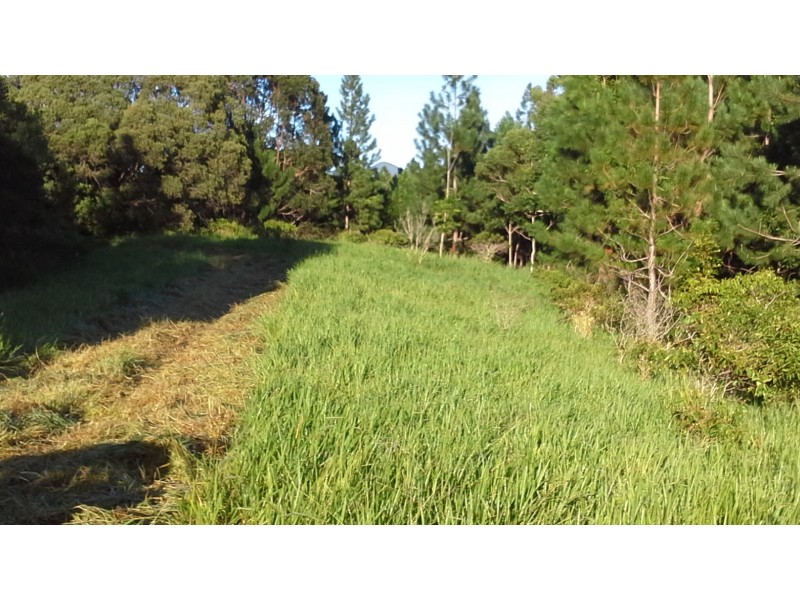 1412 Mount Molloy Road, Julatten QLD 4871