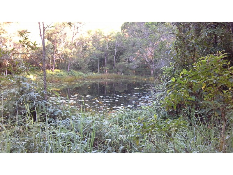 1412 Mount Molloy Road, Julatten QLD 4871