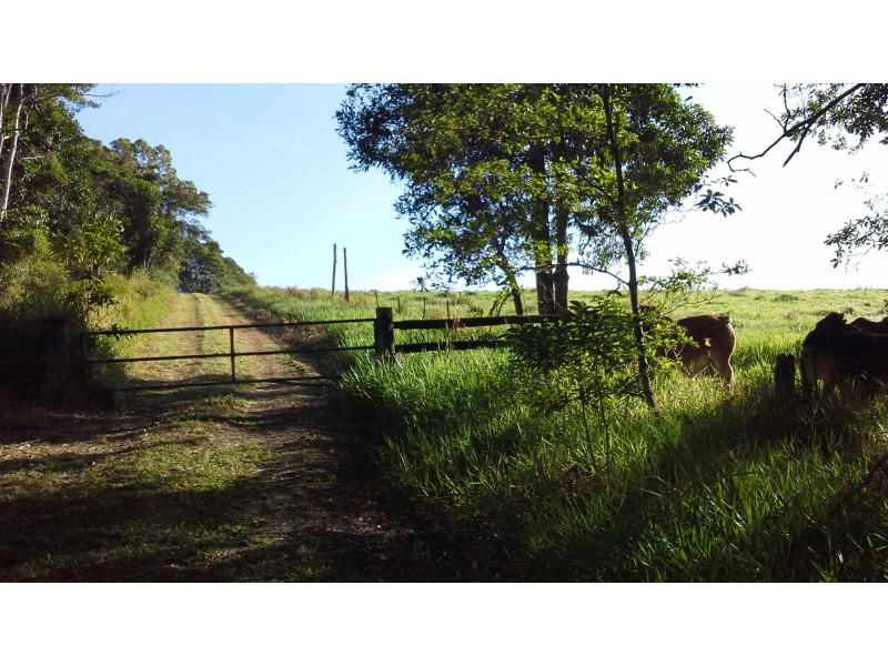 1412 Mount Molloy Road, Julatten QLD 4871