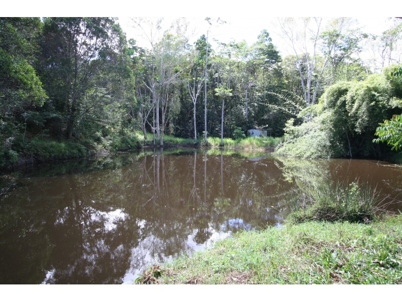 1412 Mount Molloy Road, Julatten QLD 4871