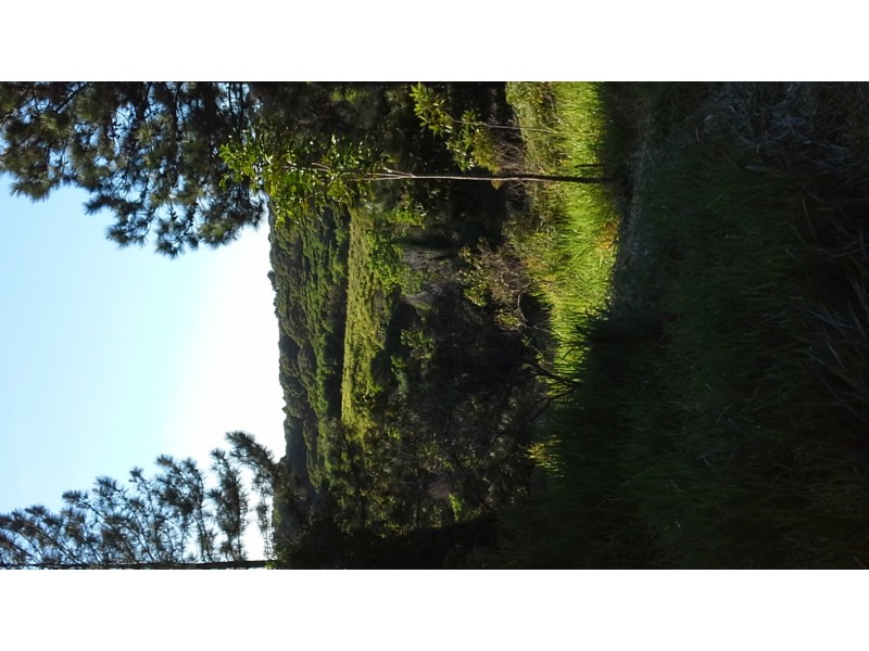 1412 Mount Molloy Road, Julatten QLD 4871