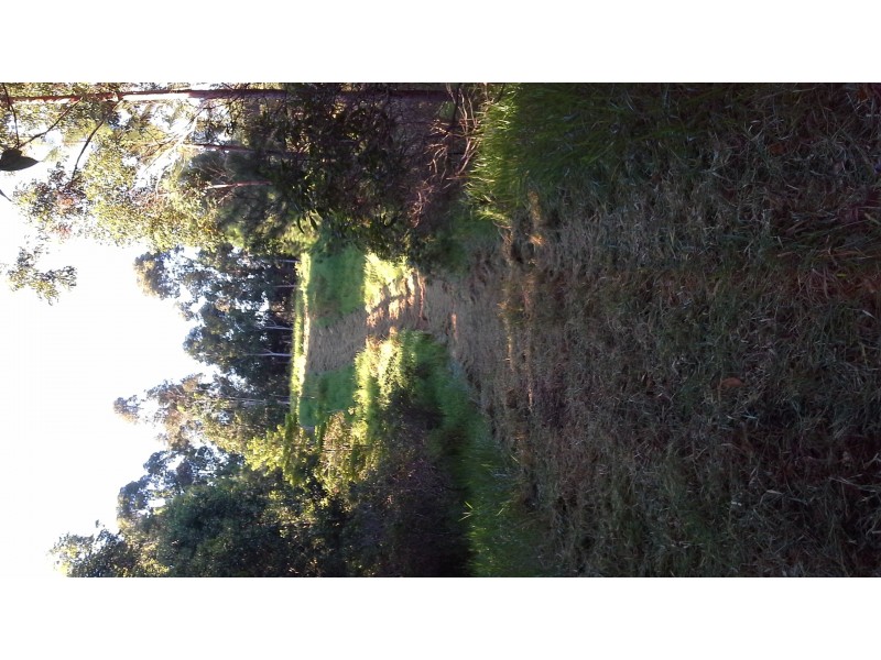 1412 Mount Molloy Road, Julatten QLD 4871