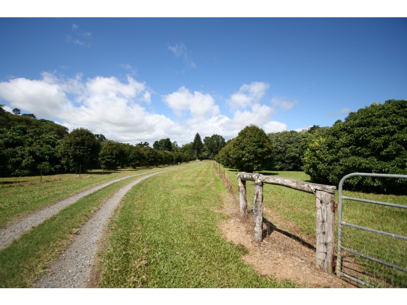 175  Mt Perseverance Road, Julatten QLD 4871