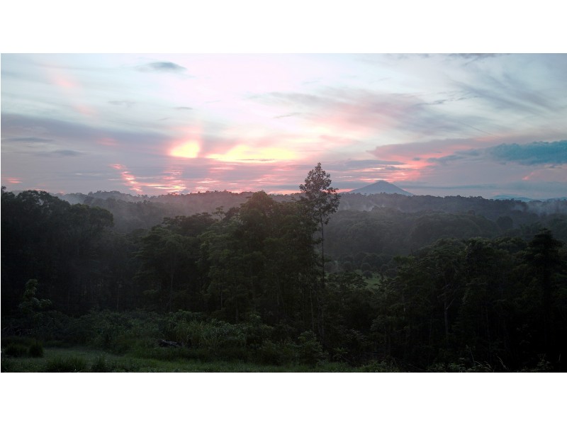 175  Mt Perseverance Road, Julatten QLD 4871