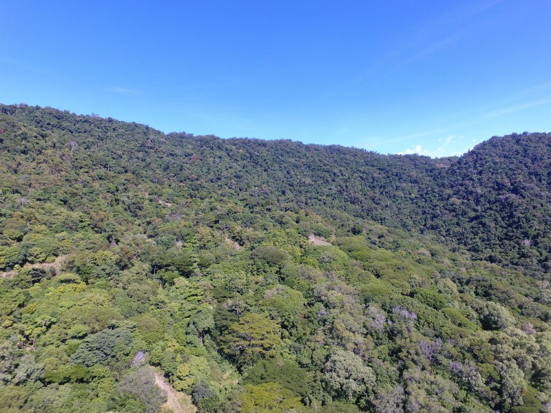 5/188 Ferrero Road, Mowbray QLD 4877